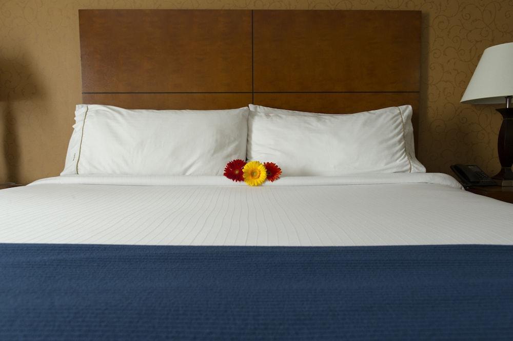Sandman Hotel & Suites London Downtown Esterno foto